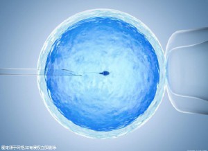 42岁高龄成功案例